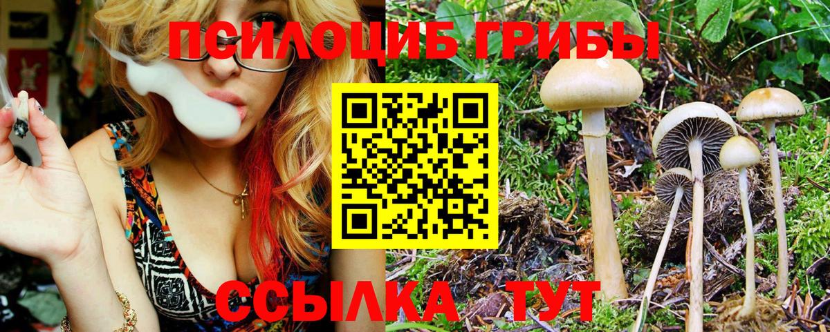 Псилоцибиновые грибы Psilocybine cubensis  Псилоцибиновые грибы мухоморы  Бахчисарай  Вход с VPN 