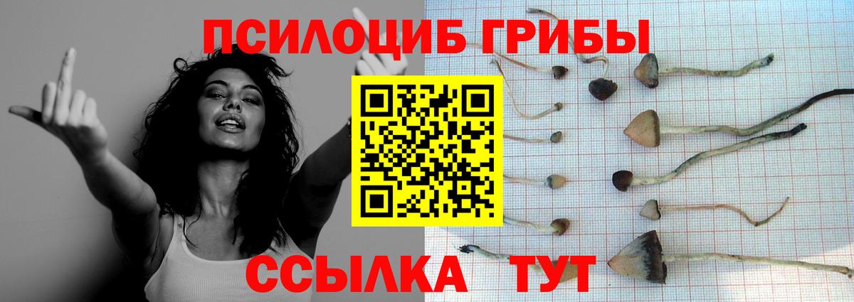 Псилоцибиновые грибы GOLDEN TEACHER Бахчисарай