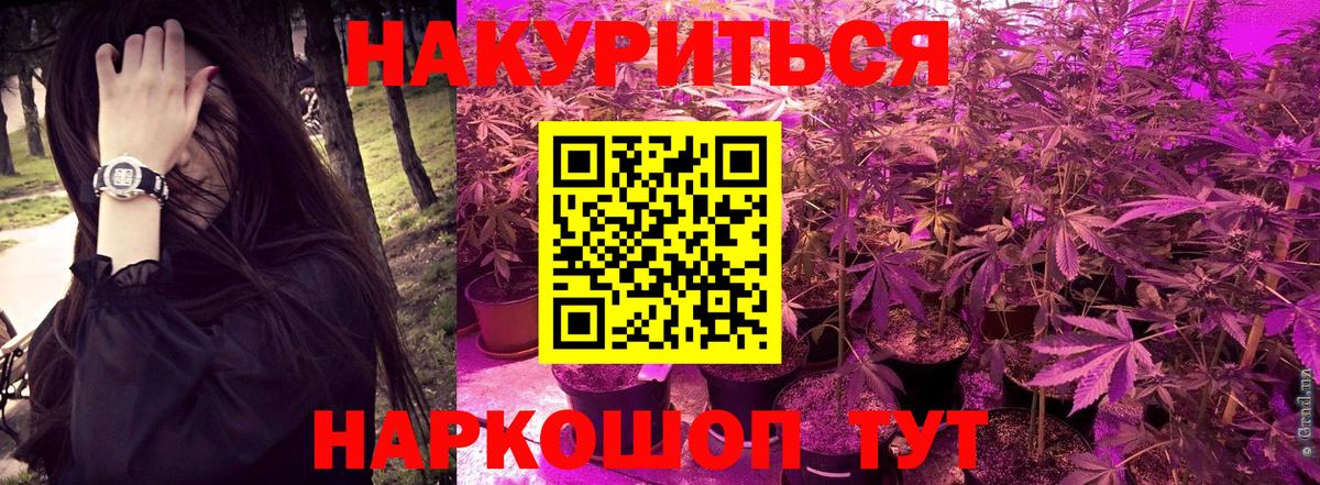 Бошки Шишки сатива  Конопля Bruce Banner  Вход с VPN  Бошки Шишки сатива  Бахчисарай 